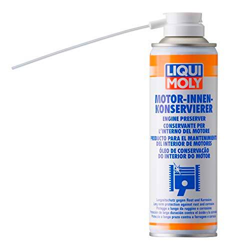 Liqui Moly 1420 Producto para el Mantenimiento del Interior de Motores, 300 ml