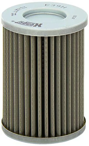 Hengst E39H D119 - Filtro de aceite