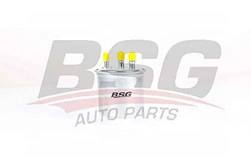 BSG 40-130-015 - Filtro diésel