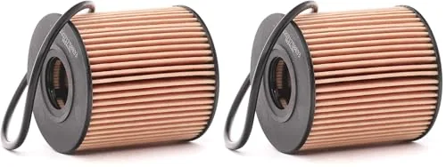 Filtro de aceite (Paquete de 2)