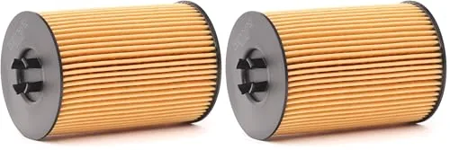 Filtro de aceite (Paquete de 2)