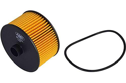 AMC Filter Filtro de aceite NO-2231
