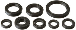 Winderosa 822228 Motor Kit de retén de Aceite