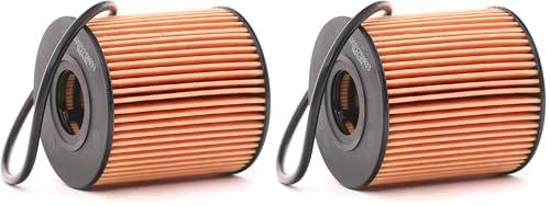 Filtro de aceite (Paquete de 2)