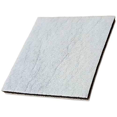 Staubbeutel24 SBTRIO - Filtro de protección del Motor para Philips FC6033 Trio