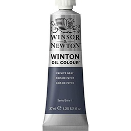 Winsor &amp; Newton Winton - Tubo óleo, 37 ml, color gris de Payne